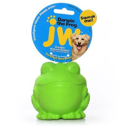 Small Eco-Friendly Frog Squeaky Toy – This Dog's Life