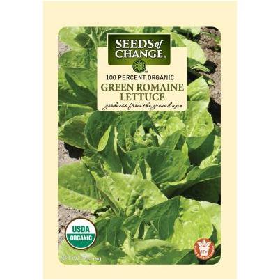 Organic Rocket Salad, Roquette Arugula Seeds - 300 Mg