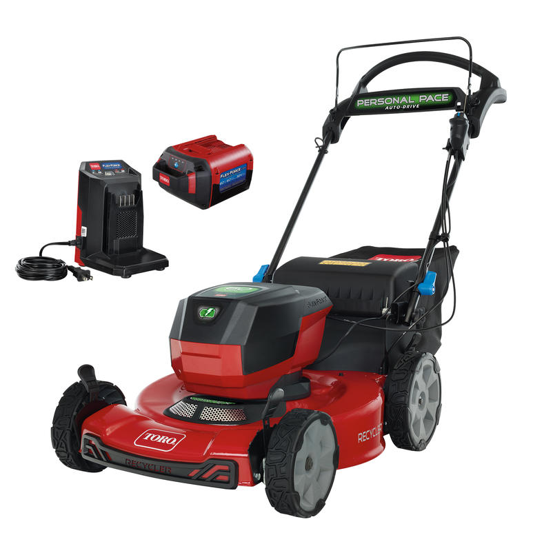 Edge Hog Electric Lawn Edger, 2.25-HP