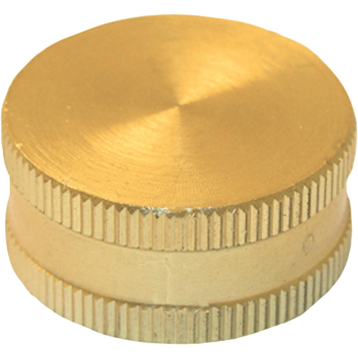 LASCO 17-4049 1/2-Inch Brass Flare Cap - Pipe Fittings 