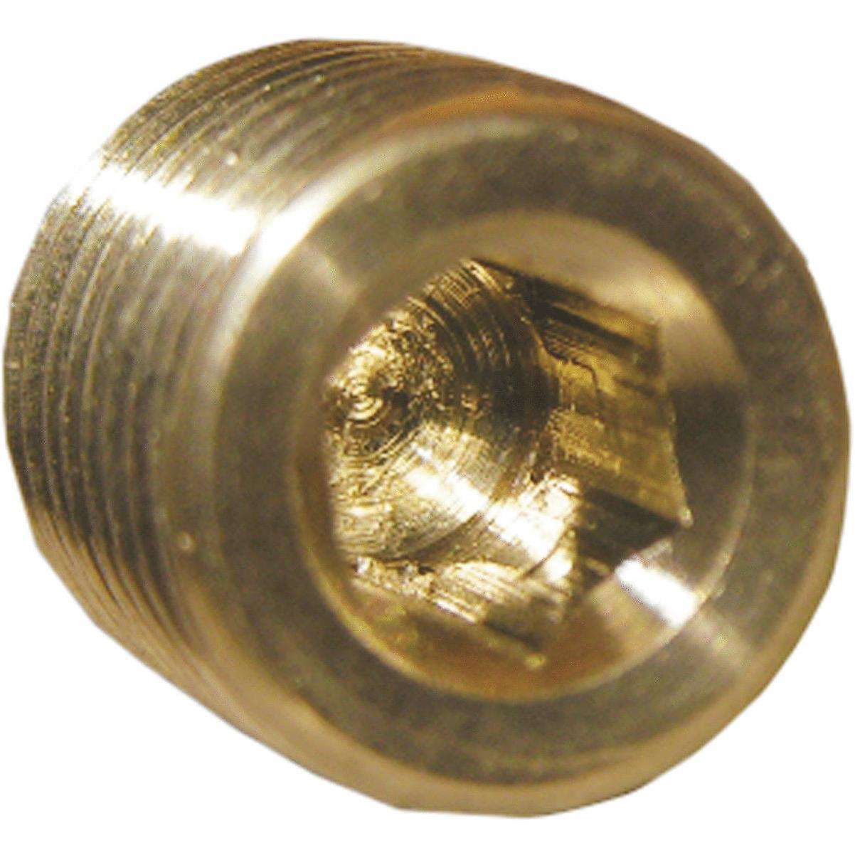 Hex Brass Plug Male BSP