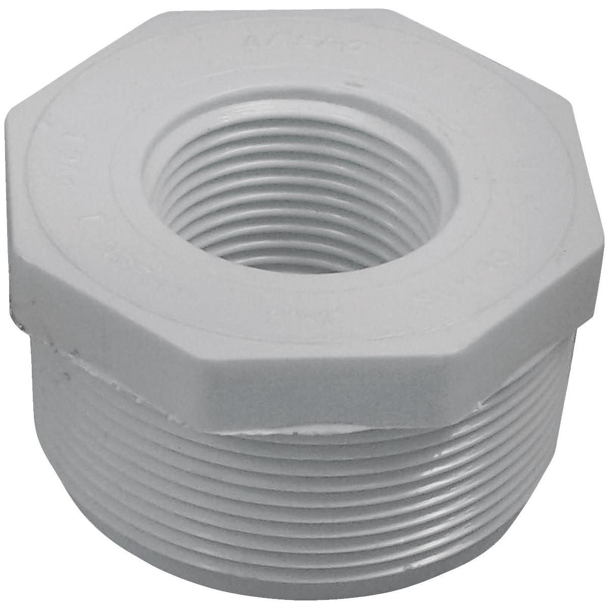 Proline Series 3/4-in x 1-in Threaded Male Adapter Bushing Fitting