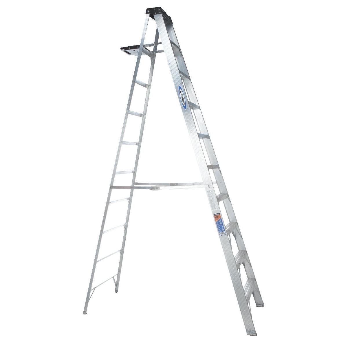 Werner 6 ft. Fiberglass Step Ladder with 300 lb. Load Capacity Type iA Duty