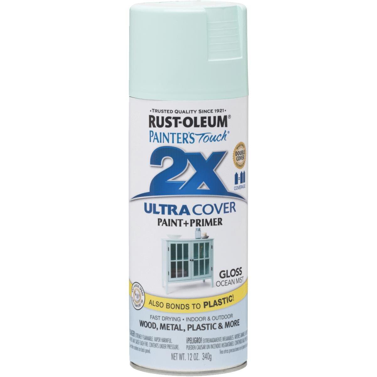 Rust-Oleum Painter's Touch 2X Ultra Cover Clear 12 Oz. Gloss Finish Spray  Paint, Clear