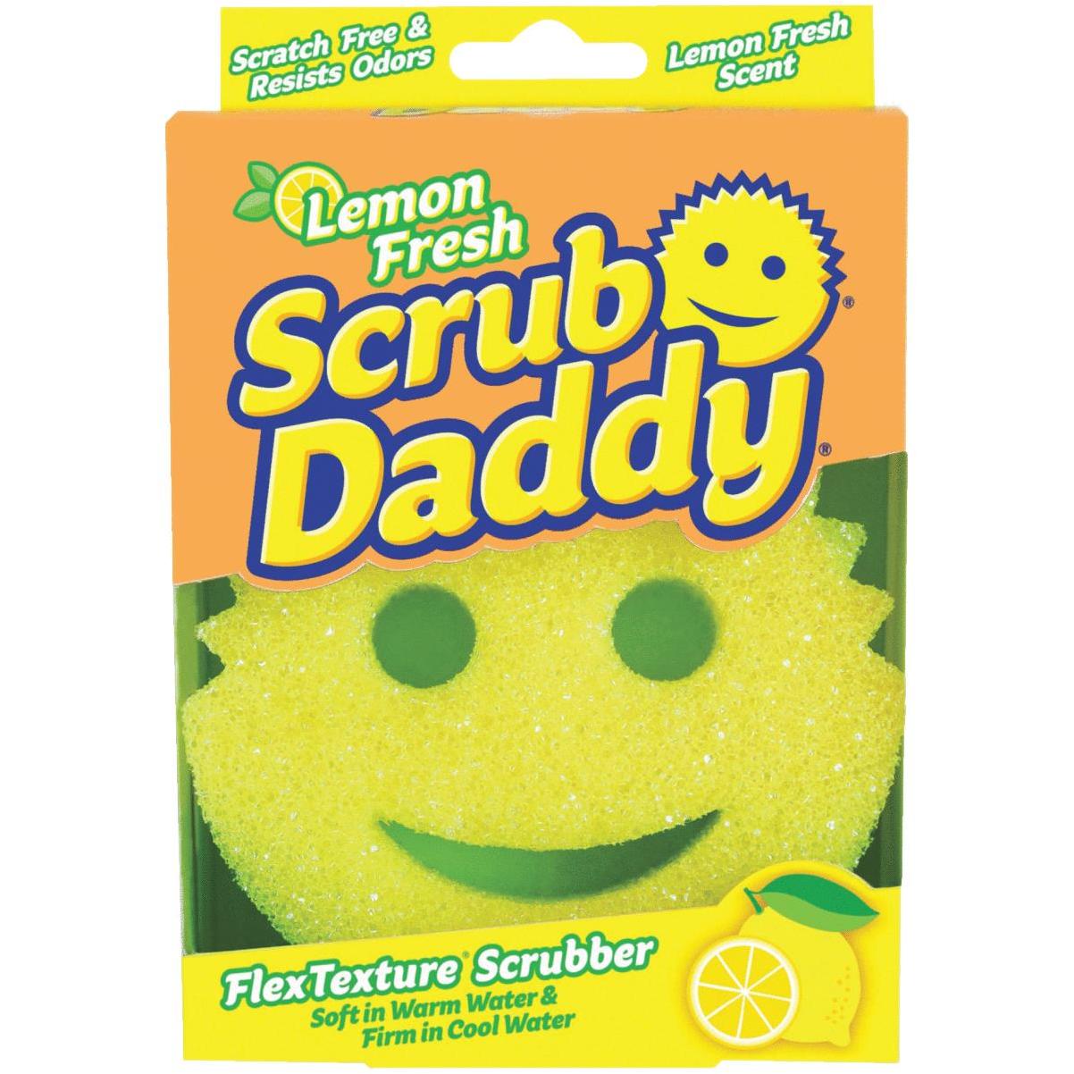 Steel Scour Daddy Heavy Duty Scouring Pad 2-Pack