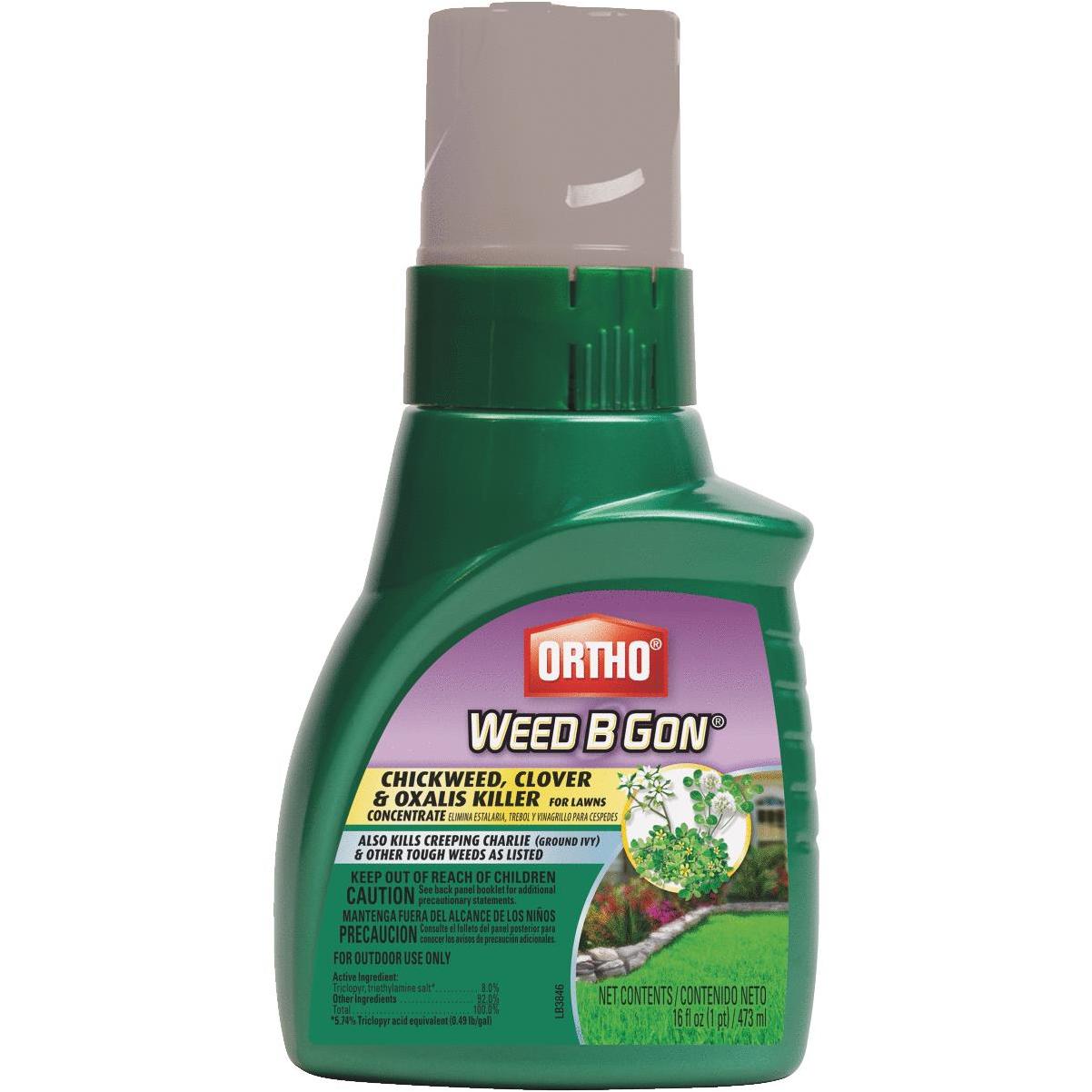 Ortho Weed B Gon 16 Oz. Concentrate Chickweed, Clover, and Oxalis ...