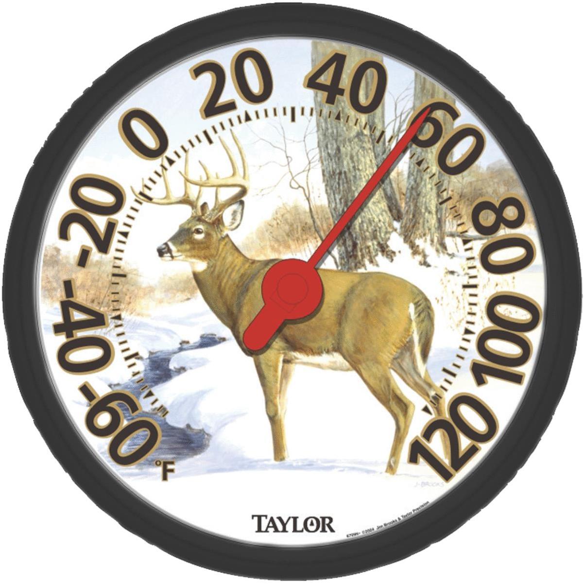 Buy Taylor Wall Indoor & Outdoor Thermometer White