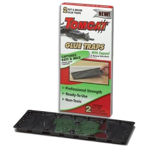 Tomcat Glue Traps Mouse Size with Eugenol for Enhanced Stickiness for Mice,  Cockroaches, and Spiders, 6 Traps