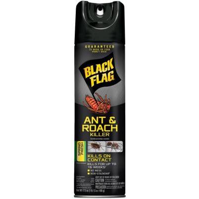Black Flag 17-1/2 Oz. Spring Fresh Aerosol Spray Ant & Roach Killer