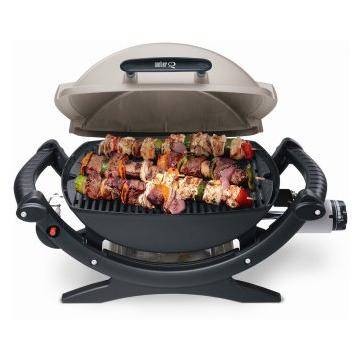 PRODUCTS Q100 LP Gas Grill | Allendale True Value