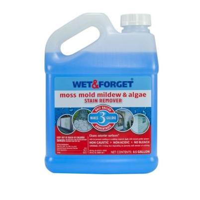 Wet and Forget 1-Gallon Multi-surface Concentrated Outdoor Cleaner in the  Outdoor Cleaners department at