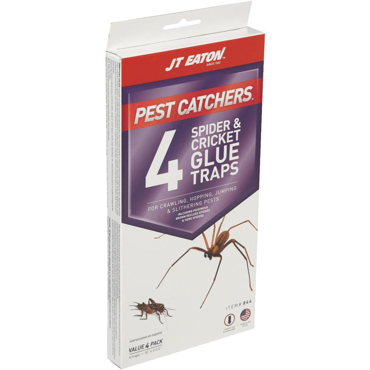 Non-Toxic Crawling Pest & Insect Trap - 6 Pack