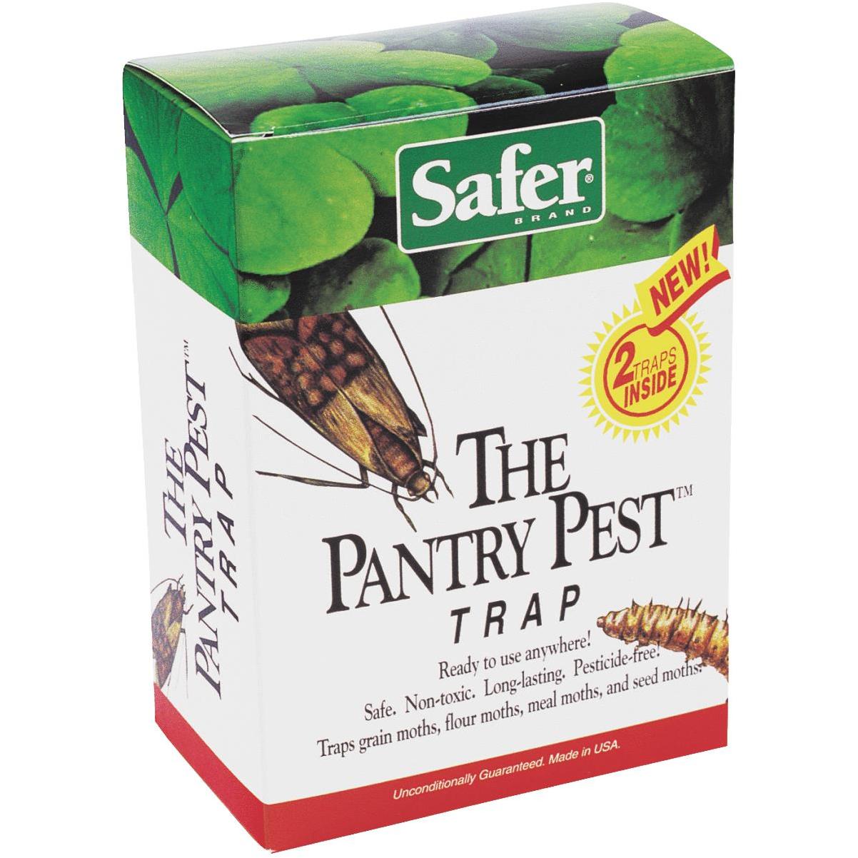 Black Flag Pantry Pest Glue Trap, 2 Count