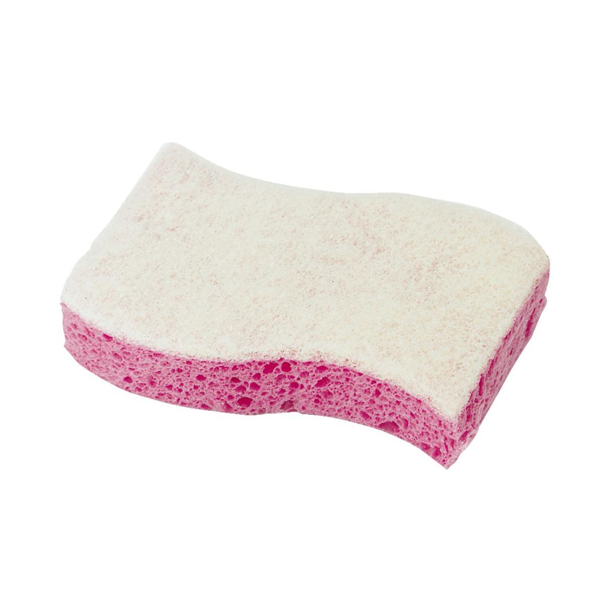 SCRUB SPONGE