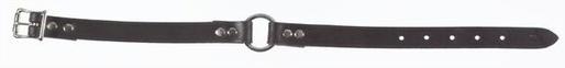 171393325 2938002 0.62 in. Adjustable Nylon Collar, Blue