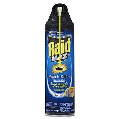 Raid Max Roach Killer, 14.5oz. Aerosol | Celebration Hardware