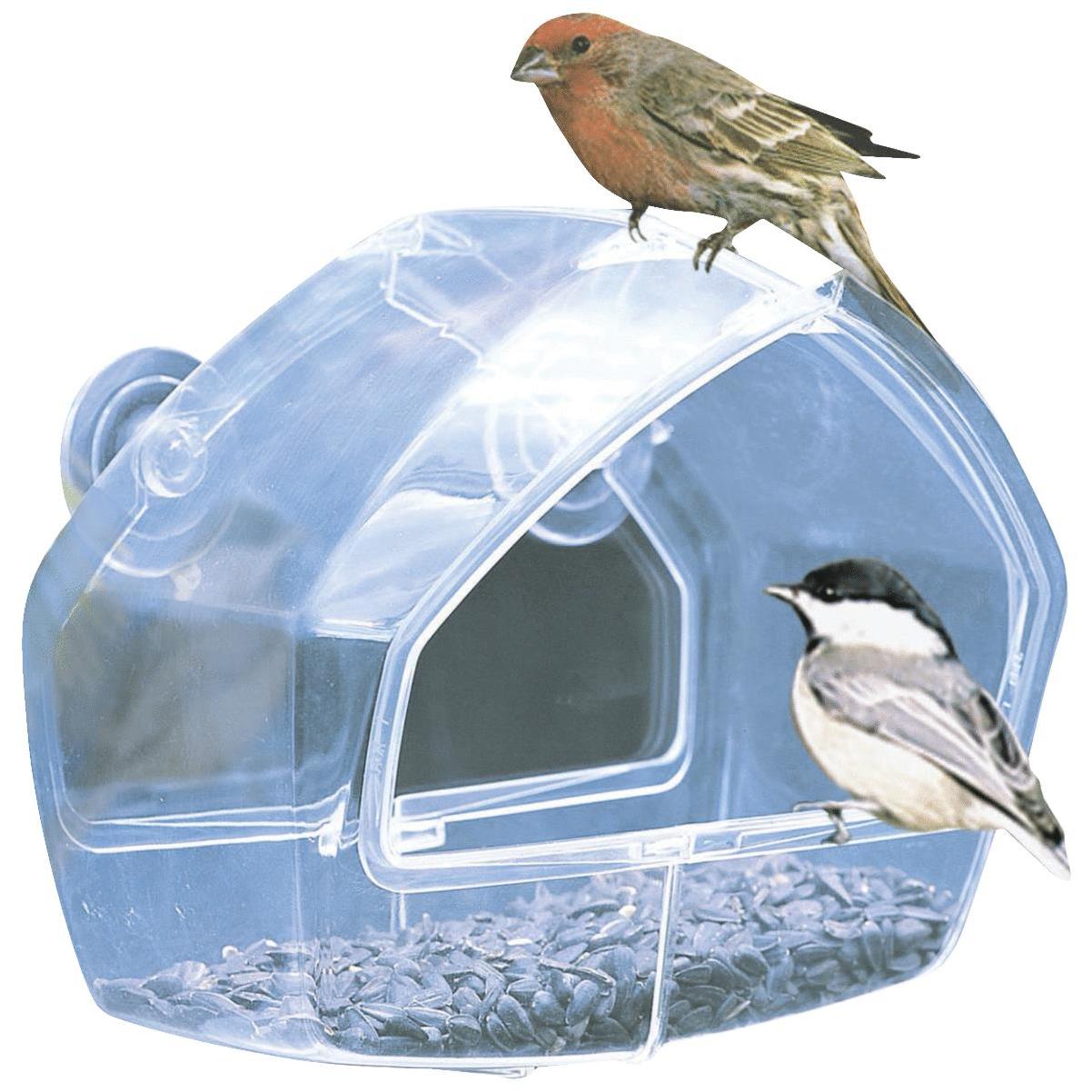 Suction Cup Mount Pet Bird Feeder Clear Acrylic House Window Viewing Bird  Feeder