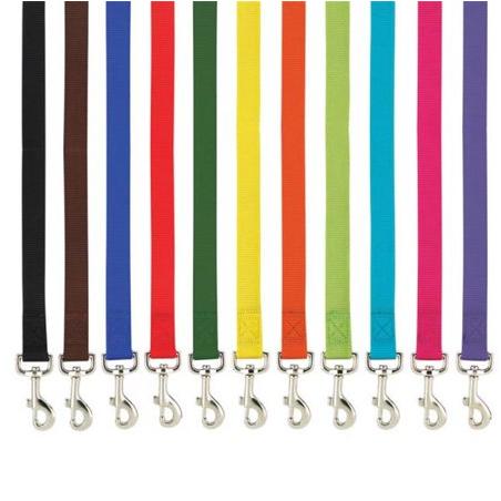 ZM2392 64 69 6 ft. x 0.62 in. Basic Nylon Dog Leash Lead, Orange