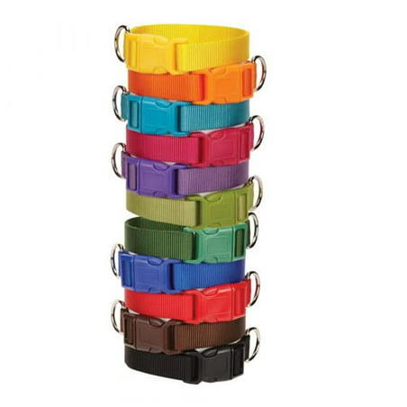 ZM2391 10 69 10-16 in. Wide Nylon Dog Collar Fits Necks, Orange