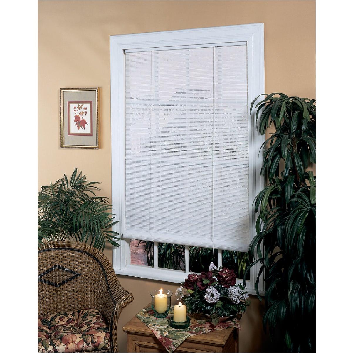 48 In. x 72 In. White Vinyl Roll-Up Window Blinds