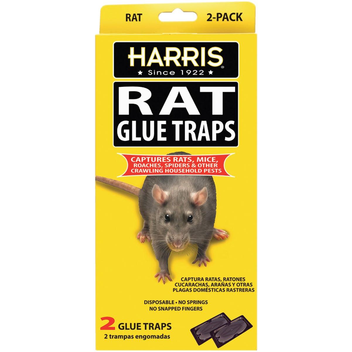 Harris Reusable Plastic Mouse Trap (4-Pack)