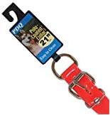 PDQ Dog Collar 1