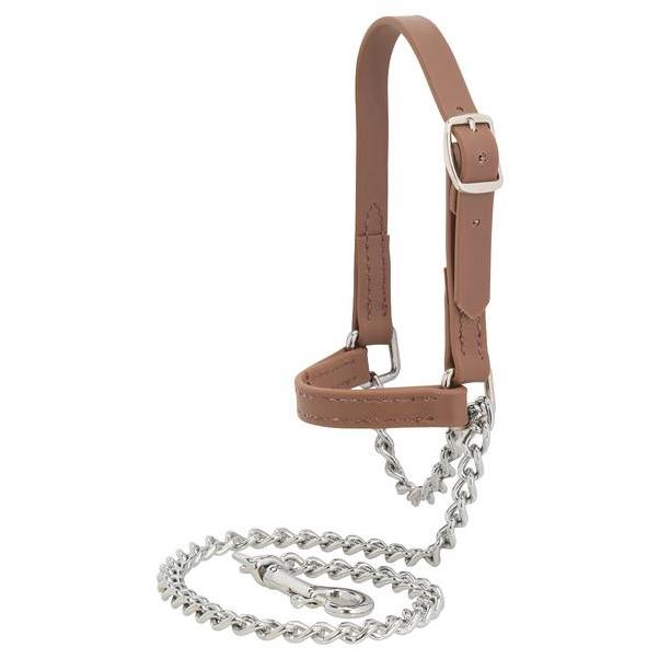Brahma Webb Show Goat Halter