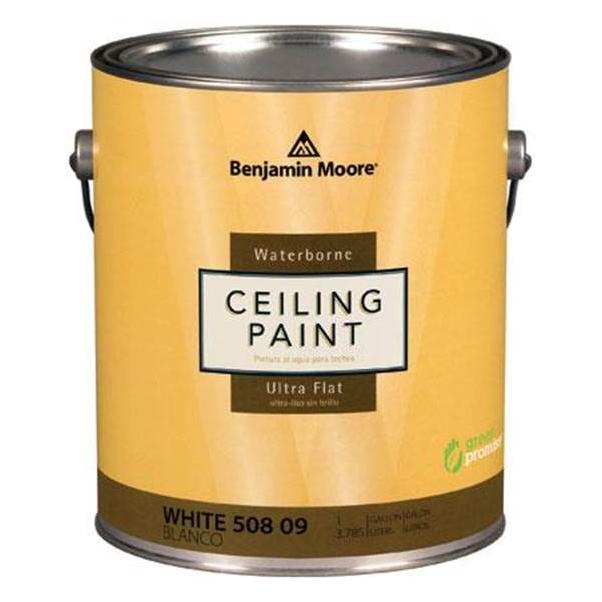 Benjamin Moore Muresco Ceiling White Paint Shelly Lighting