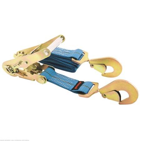 Erickson Cam Buckle Tie-Down Strap 1 in x 10 ft 300 lb