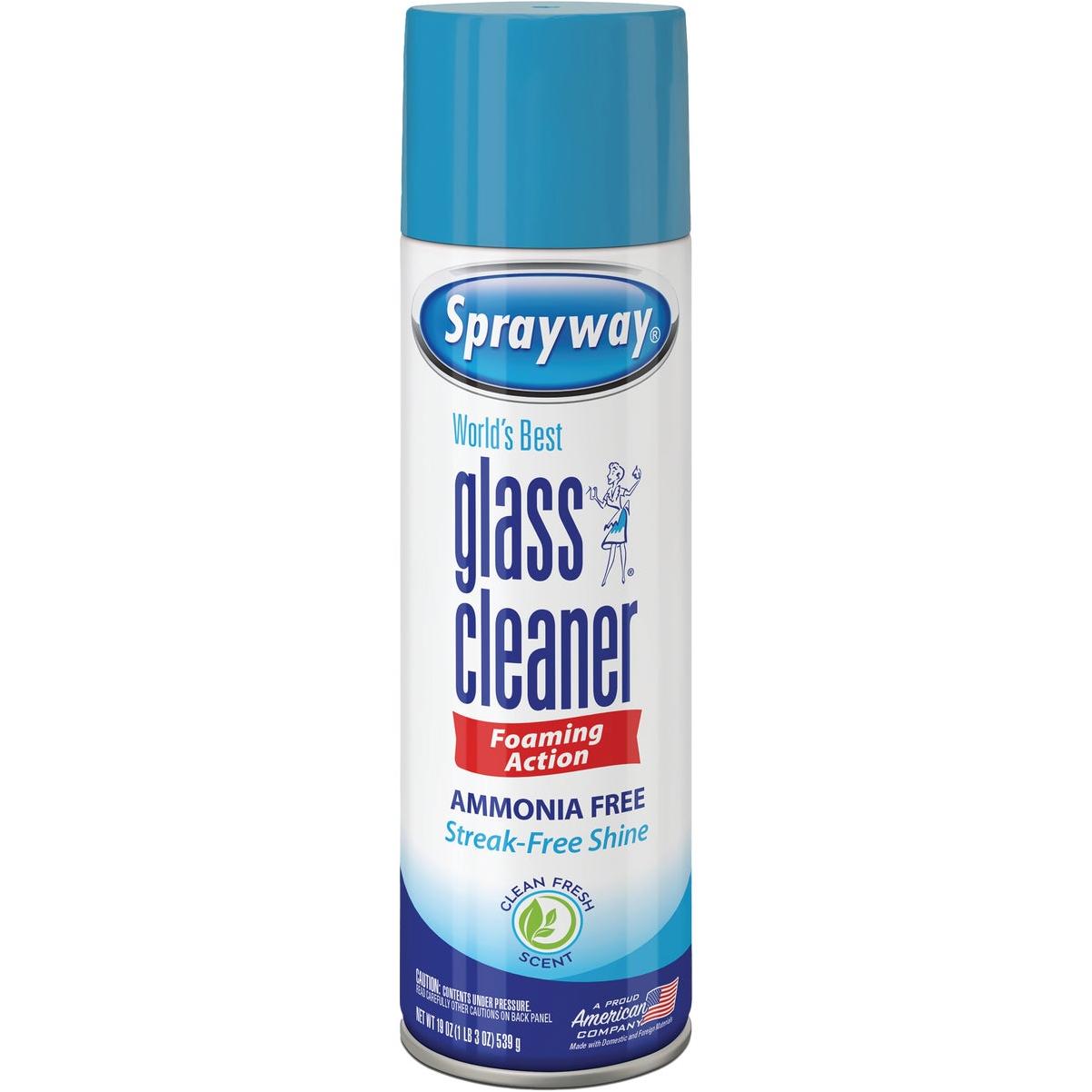 Sprayway 19 Oz. Aerosol Spray Glass & Surface Cleaner