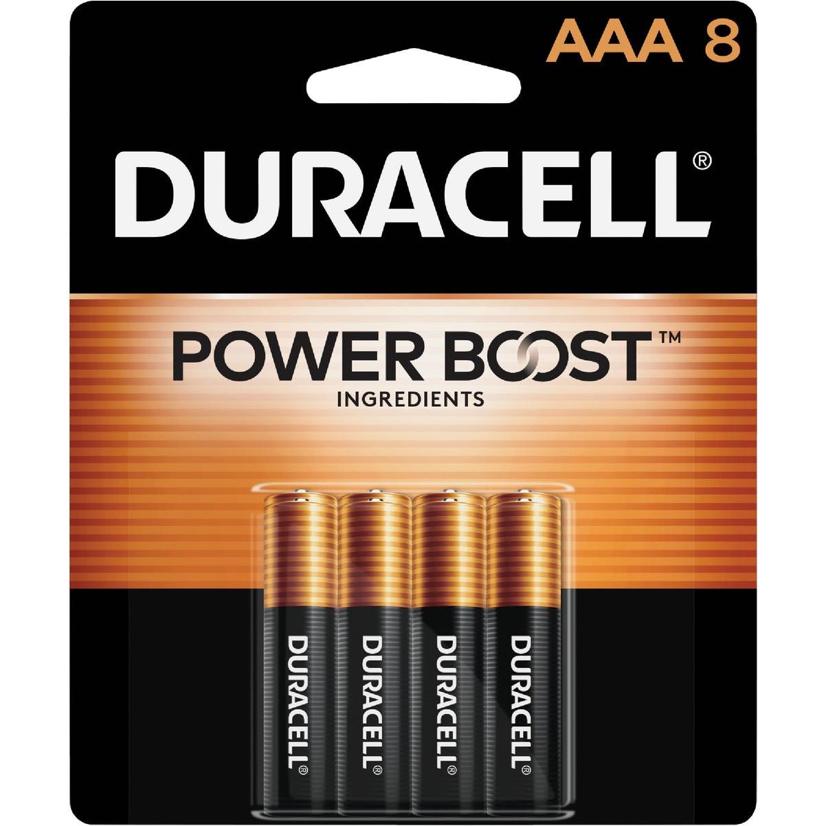 Duracell CopperTop AAA Alkaline Battery (8-Pack)