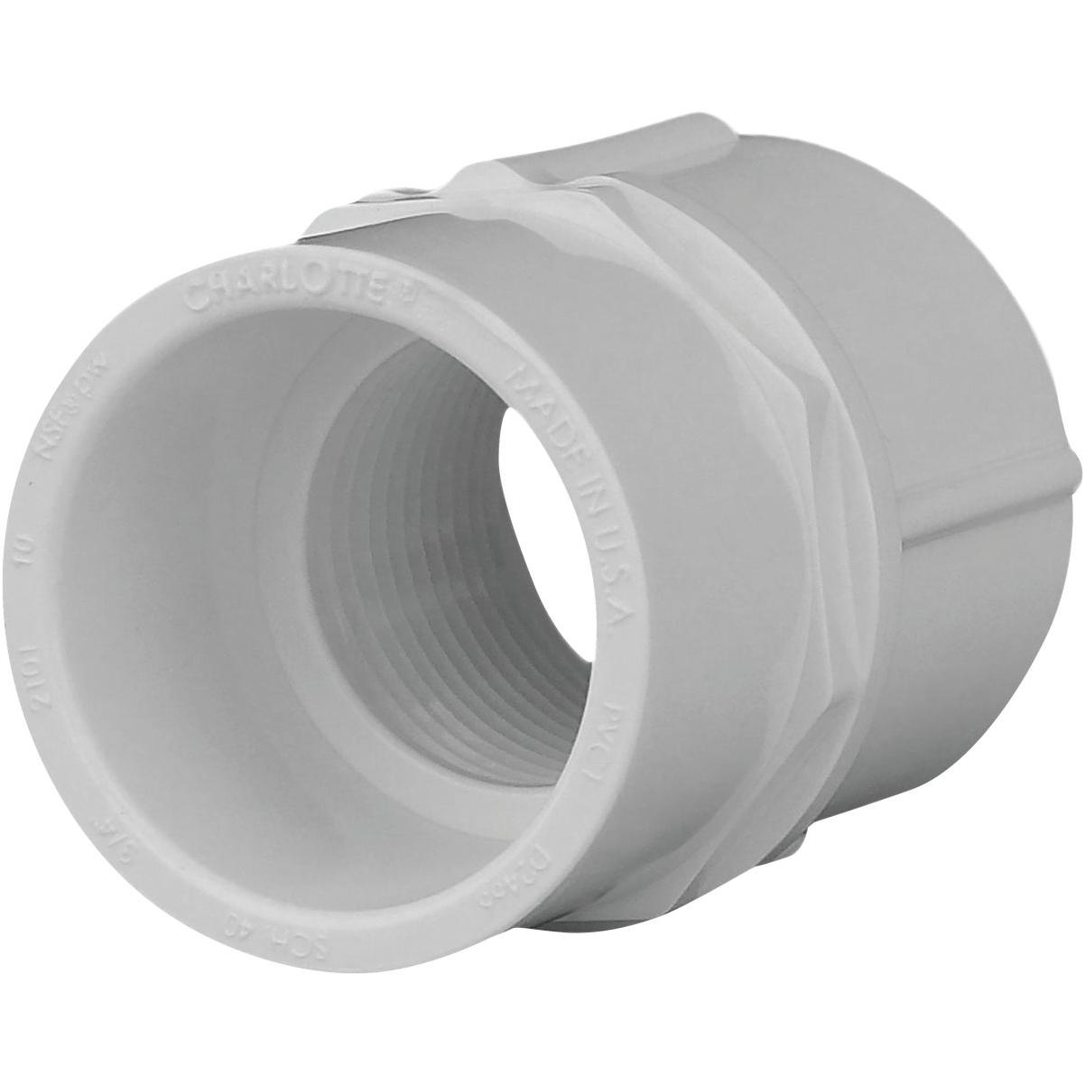 Charlotte Pipe Female Schedule 40 3/4 in. PVC Adapter