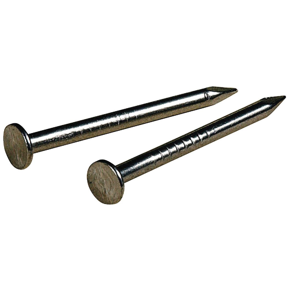 Hillman 7/16 in. Furniture Nickel Stainless Steel Nail Round Head Hillman 7/16 in. Furniture Nickel Stainless Steel Nail Round Head