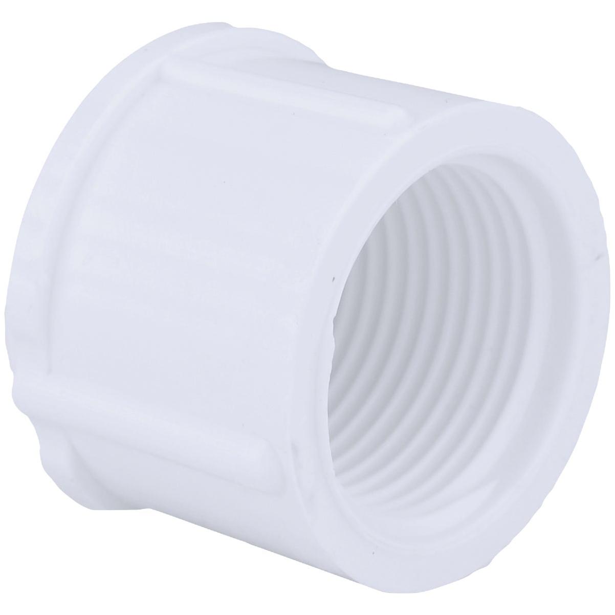 Charlotte Pipe 3/4 In. FIP Schedule 40 Threaded PVC Cap