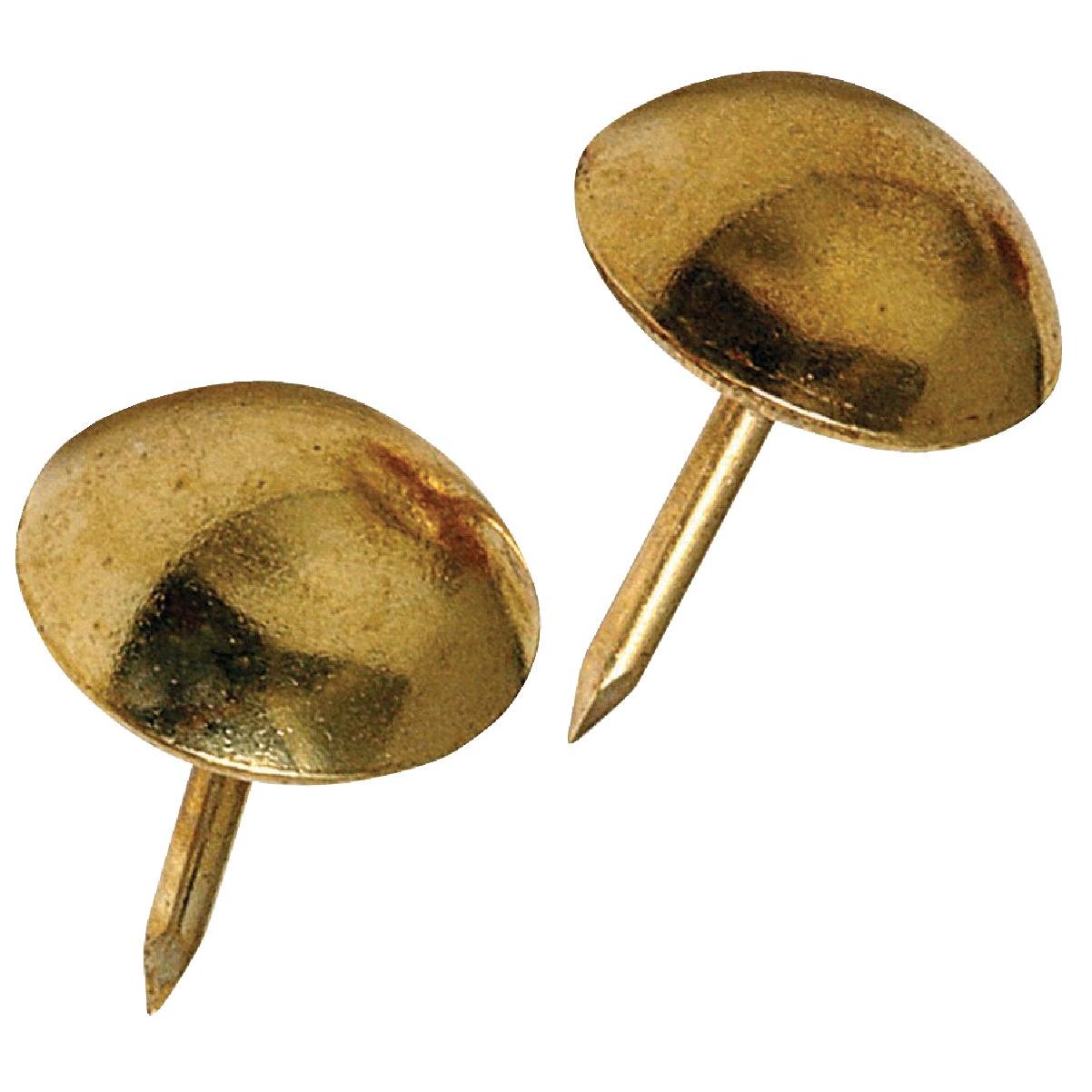 Hillman Fastener Corp Large Round Brass Furniture Nail (25-Count)