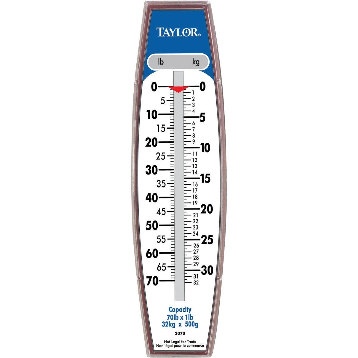 Taylor 70 Lb. Capacity Steel Hook Hanging Scale