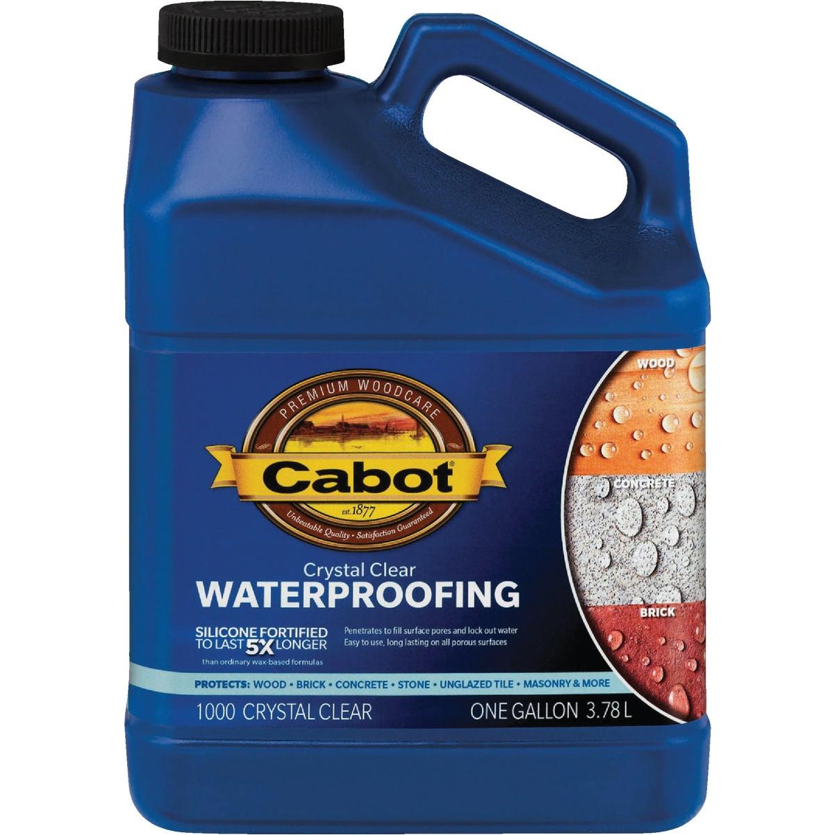 Cabot 1000 Clear Silicone Waterproofing Sealer, 1 Gal.