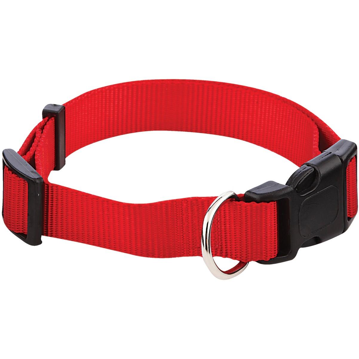 Lupine 1 In. Traditional Solid Red 16 to 28 In. Adjustable Collar