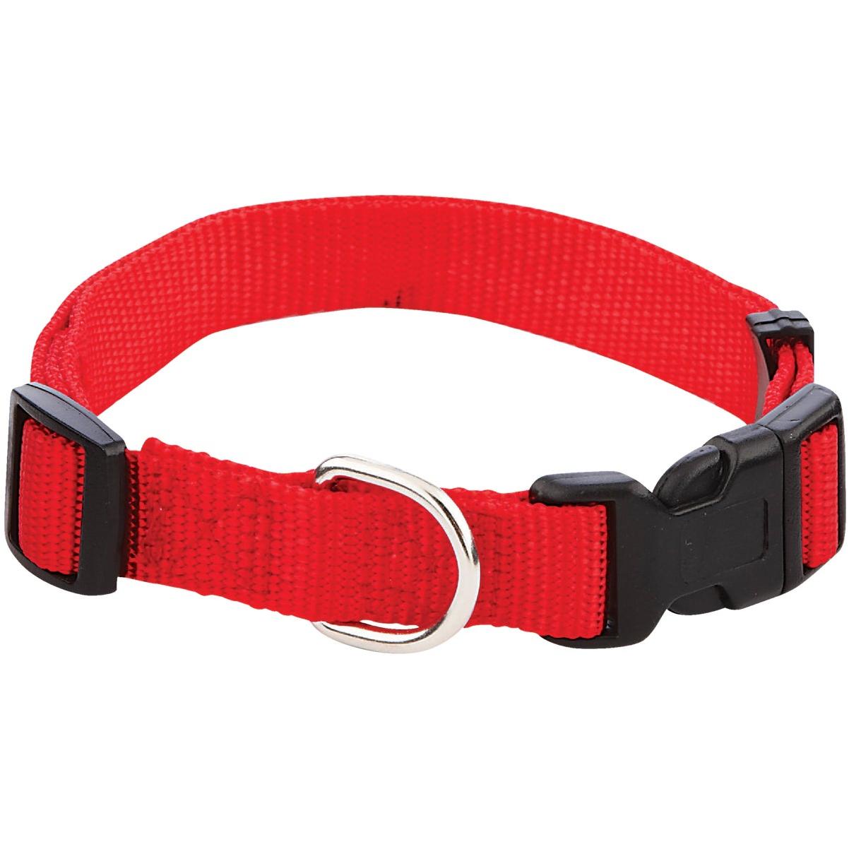 Lupine 3/4 In. Traditional Solid Red 13 to 22 In. Adjustable Collar