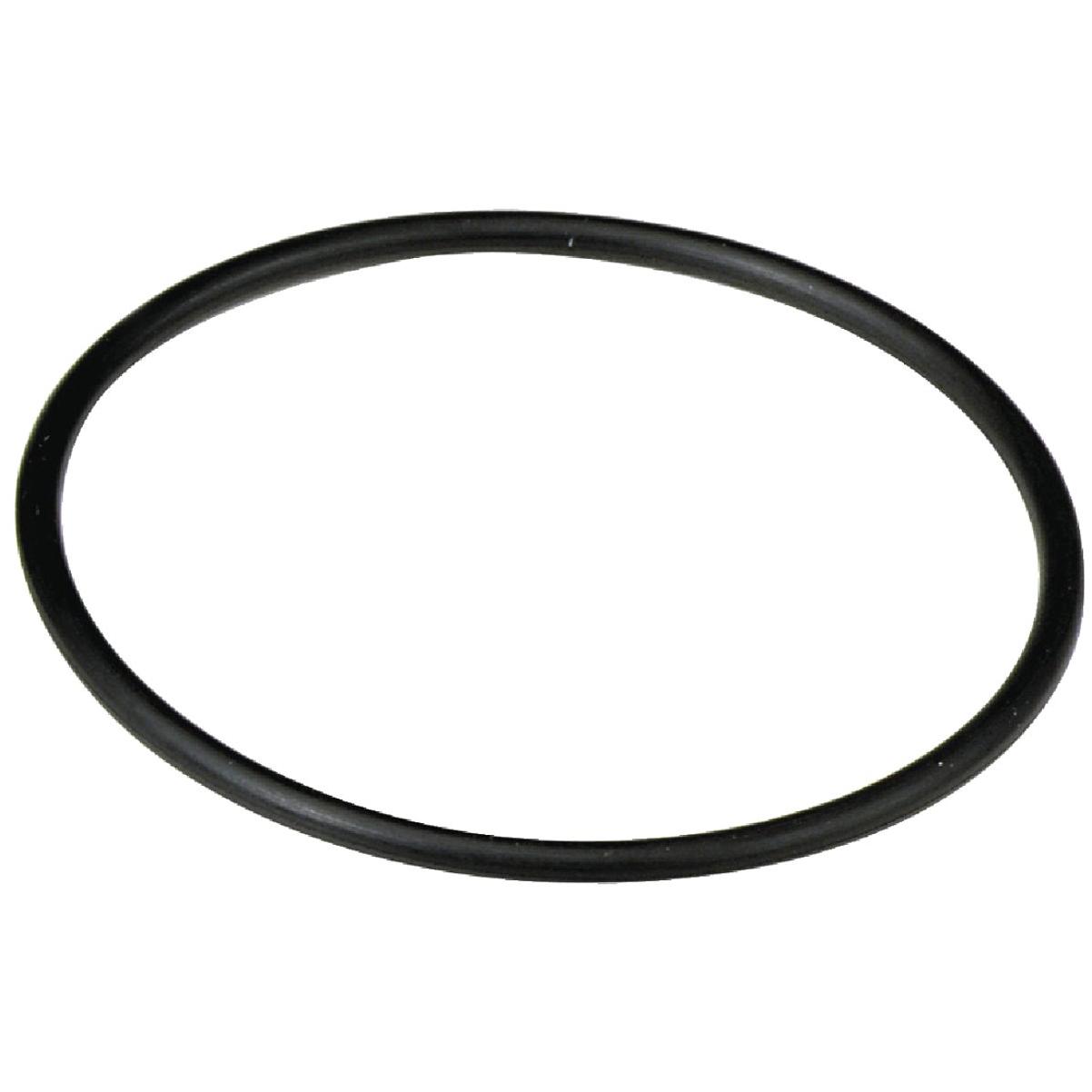 Culligan 3/8 In. Water Filter O-Ring Under Sink