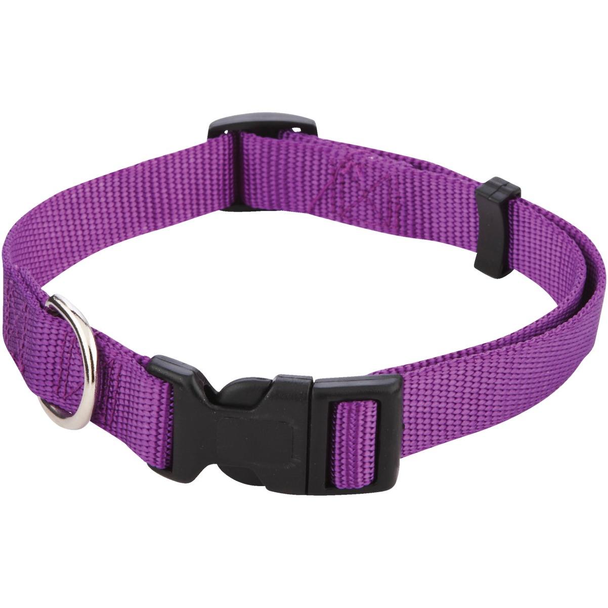 Lupine 3/4 In.  Woven Pattern Petunias  13 In. to 22 In.  Adjustable Collar