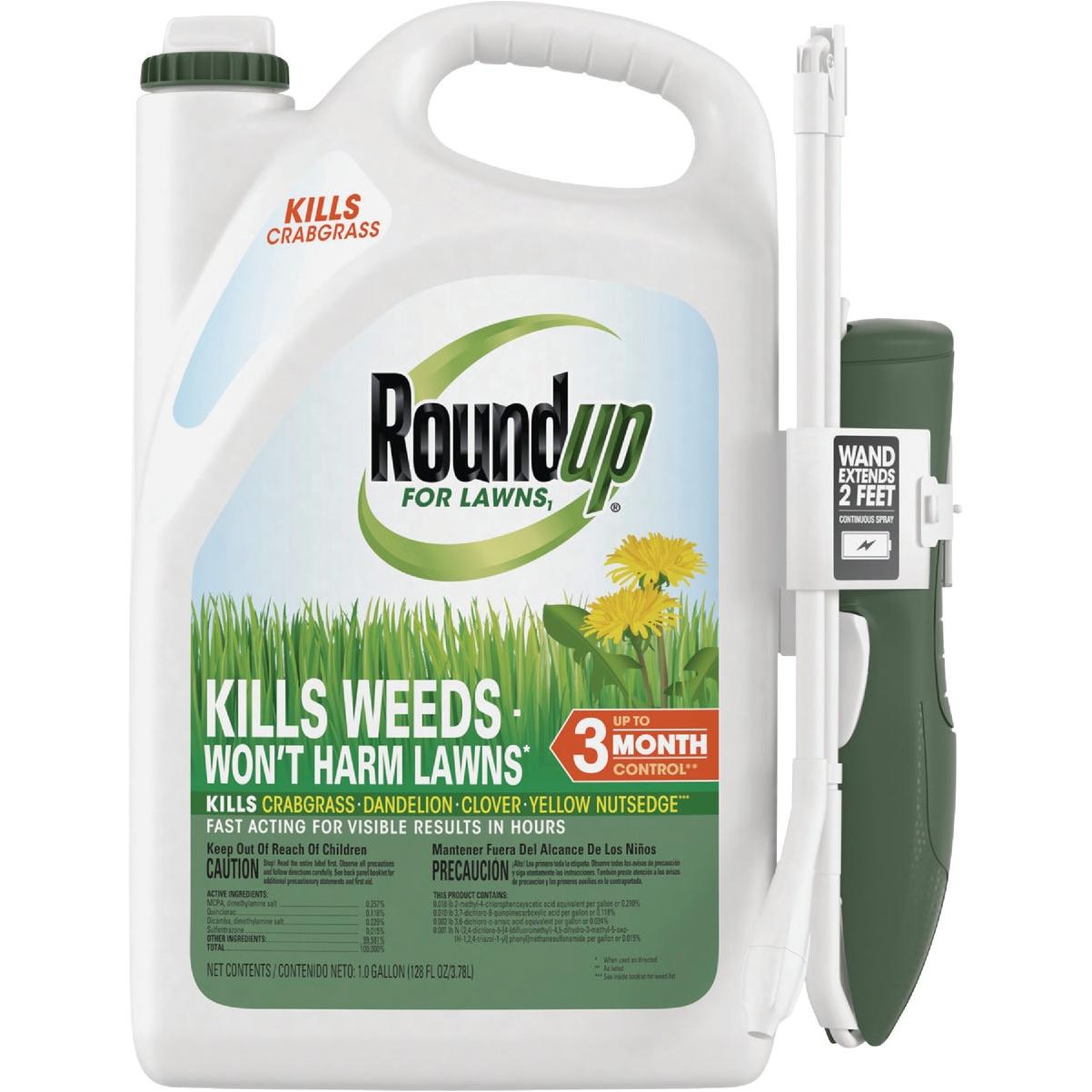RoundUp Roundup For Lawns 1 Gal. Wand Sprayer Northern Formula Weed