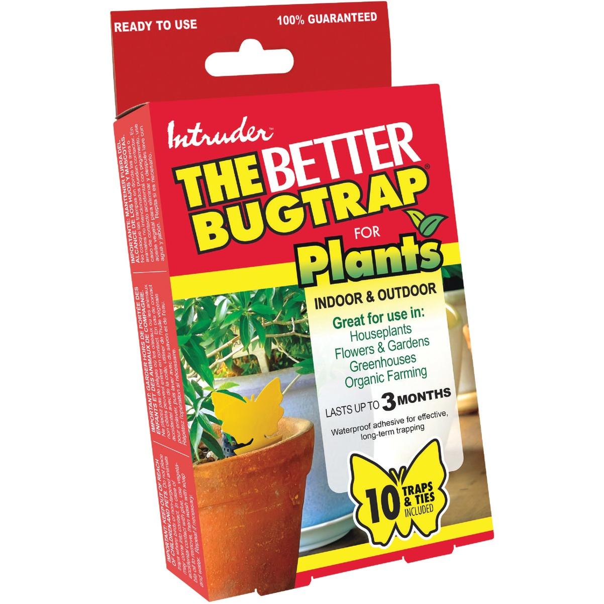 Intruder The Better Bugtrap for Plants Disposable Indoor/Outdoor Insect Trap (10-Pack)