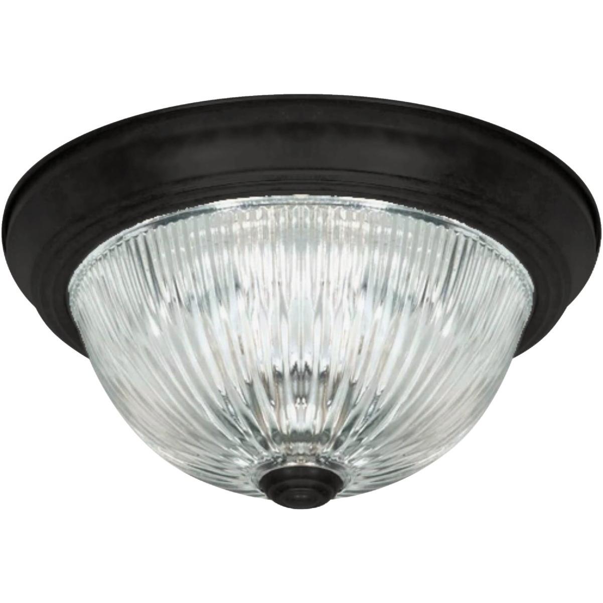 Canarm 11 In. Matte Black Flush Mount, Clear Glass