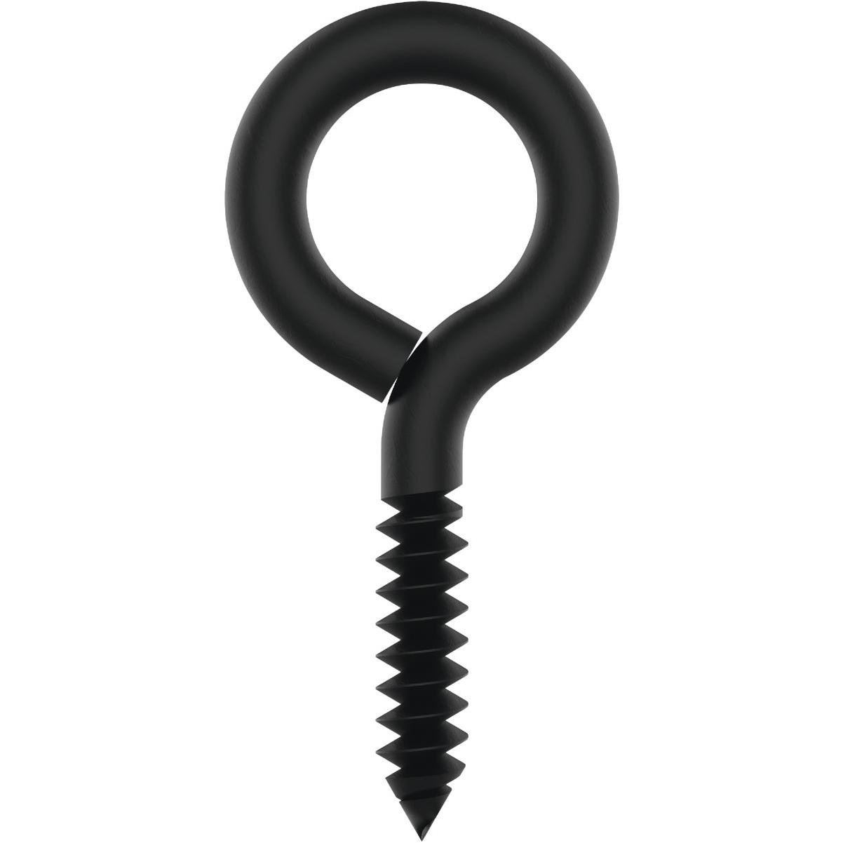 National Hardware 3/16 In. X 3 In. Storm Shine Lag Screw Eye (2-Count)