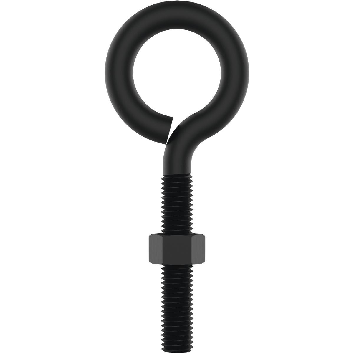 National Hardware 3/8 In. x 4 In. Storm Shine Eye Bolt with Nut