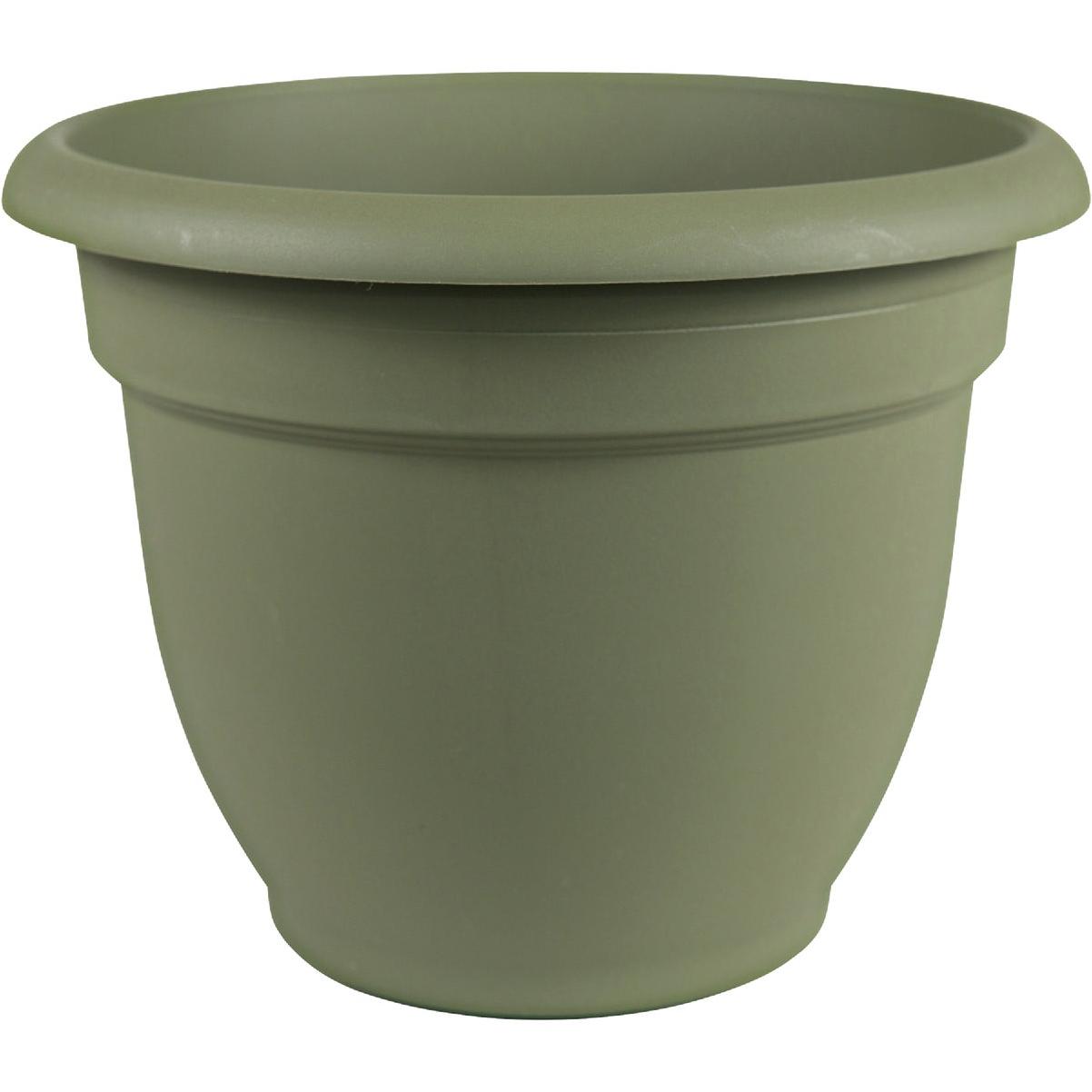 Bloem Ariana 12 In. Plastic Self Watering Thyme Green Planter