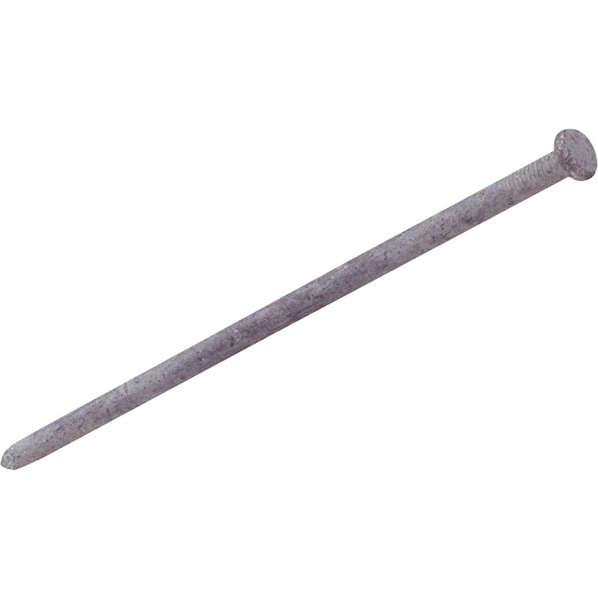 Do it Best 3/8 In. x 8 In. Hot Galvanized Smooth Landscape Spikes (167 Ct., 50 Lb.)