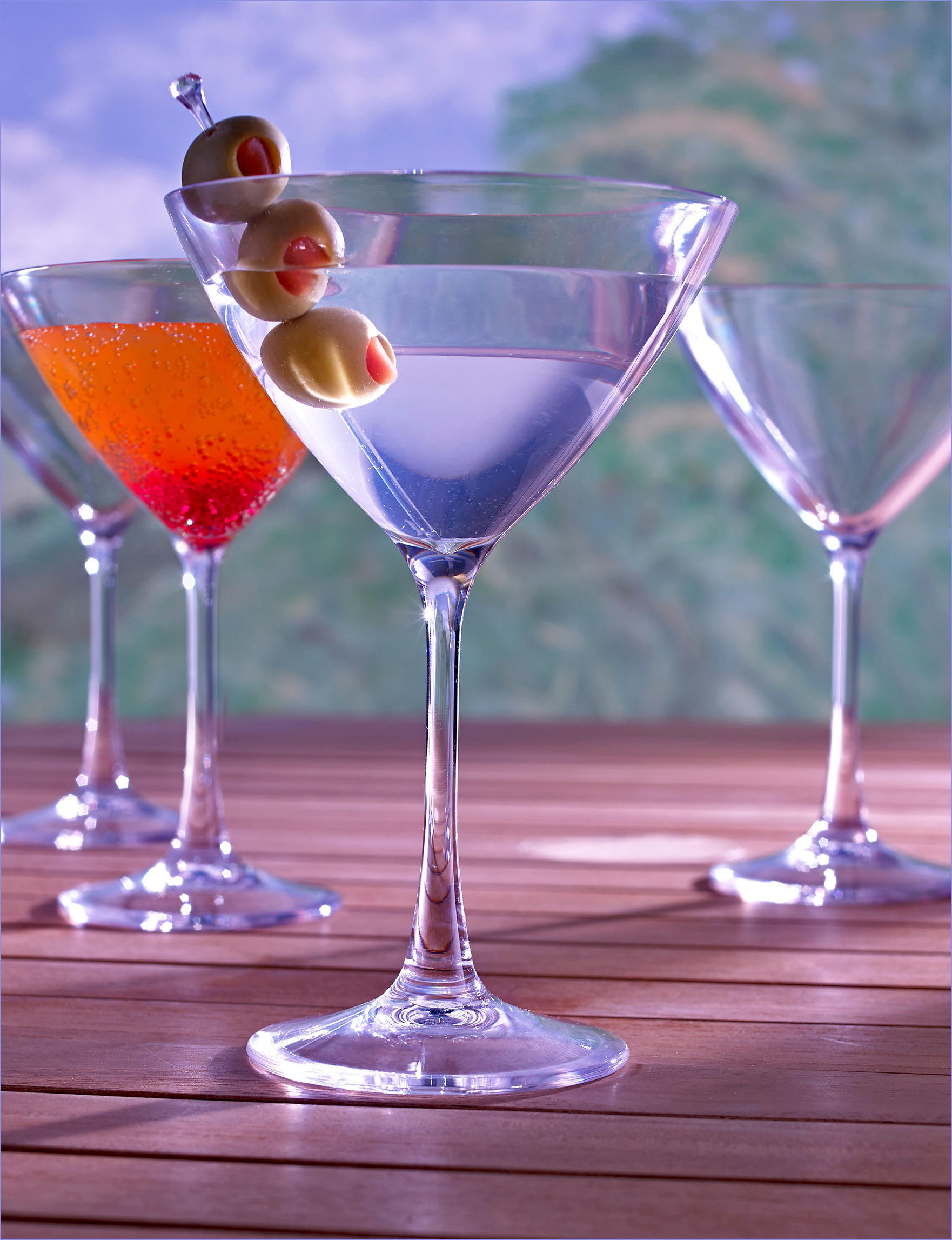 Unbreakable Tritan 9 oz Martini Glass