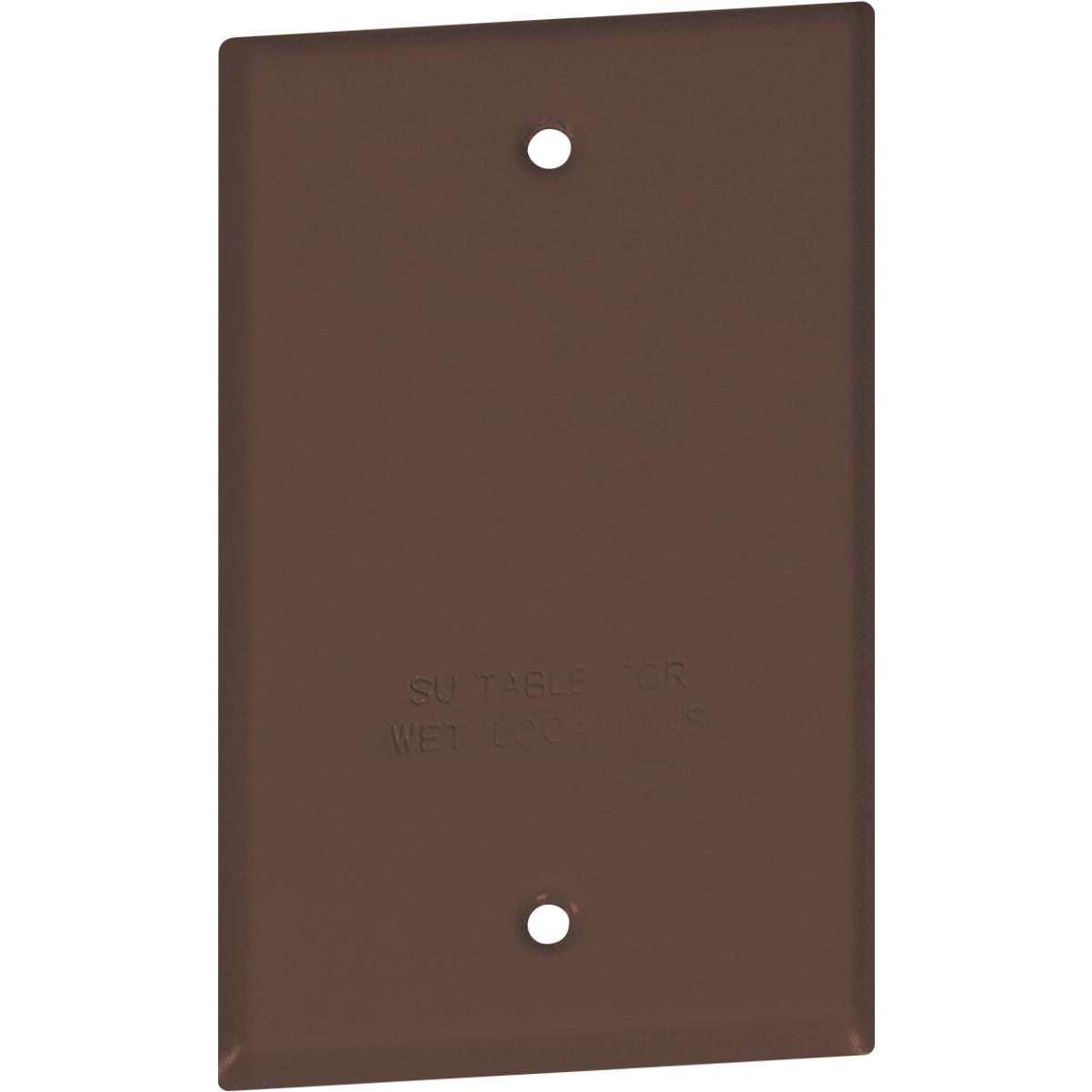 Southwire Single Gang Bronze Weatherproof Blank Cover